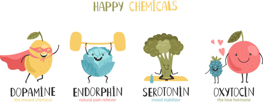 Four Happy Hormones